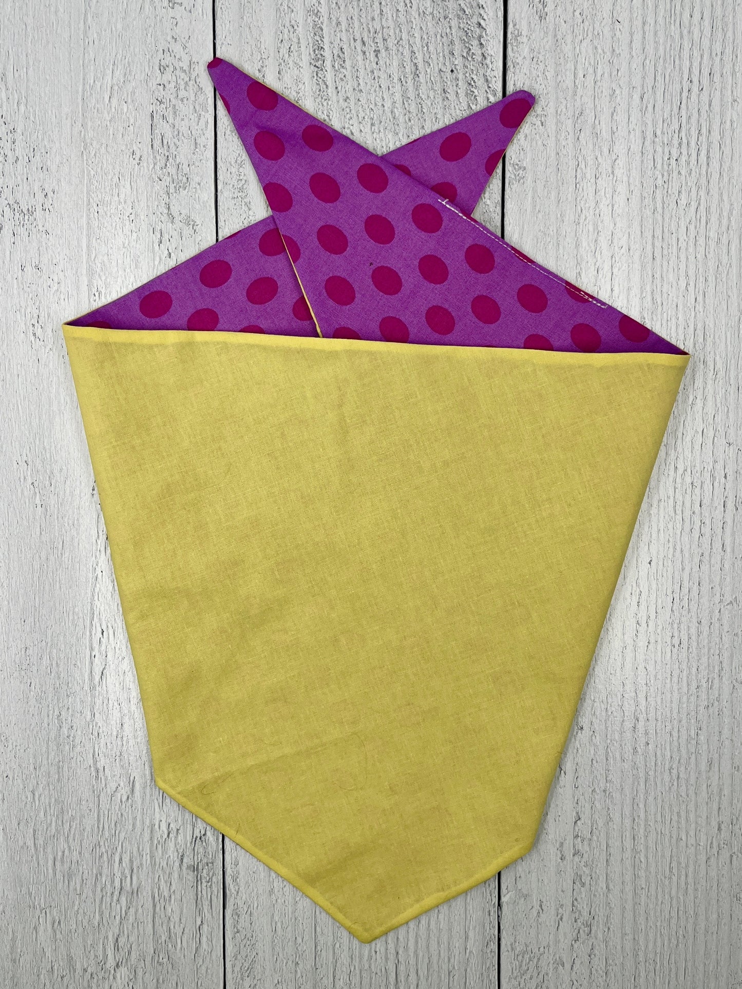 Purple Haze & Lemon Days: Reversible Vibrant Dog Bandana