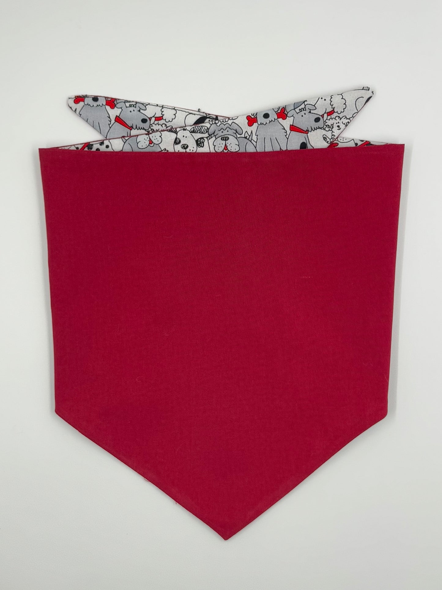 Dog Park Delight Reversible Dog Bandana