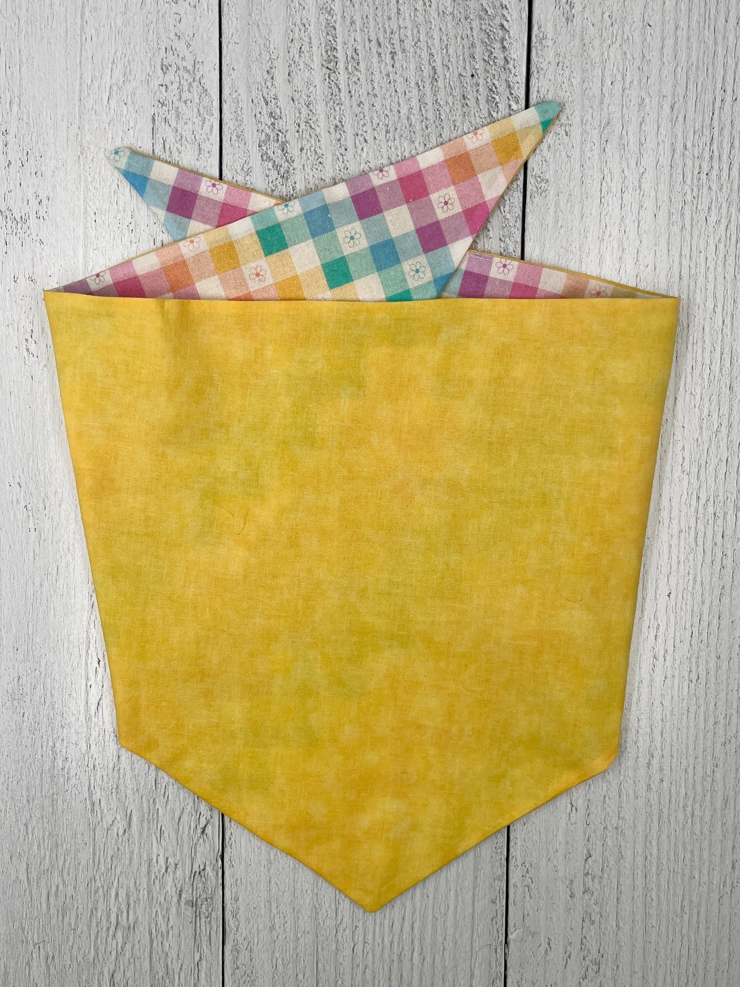 Springtime Stroll: Reversible Cheerful Dog Bandana