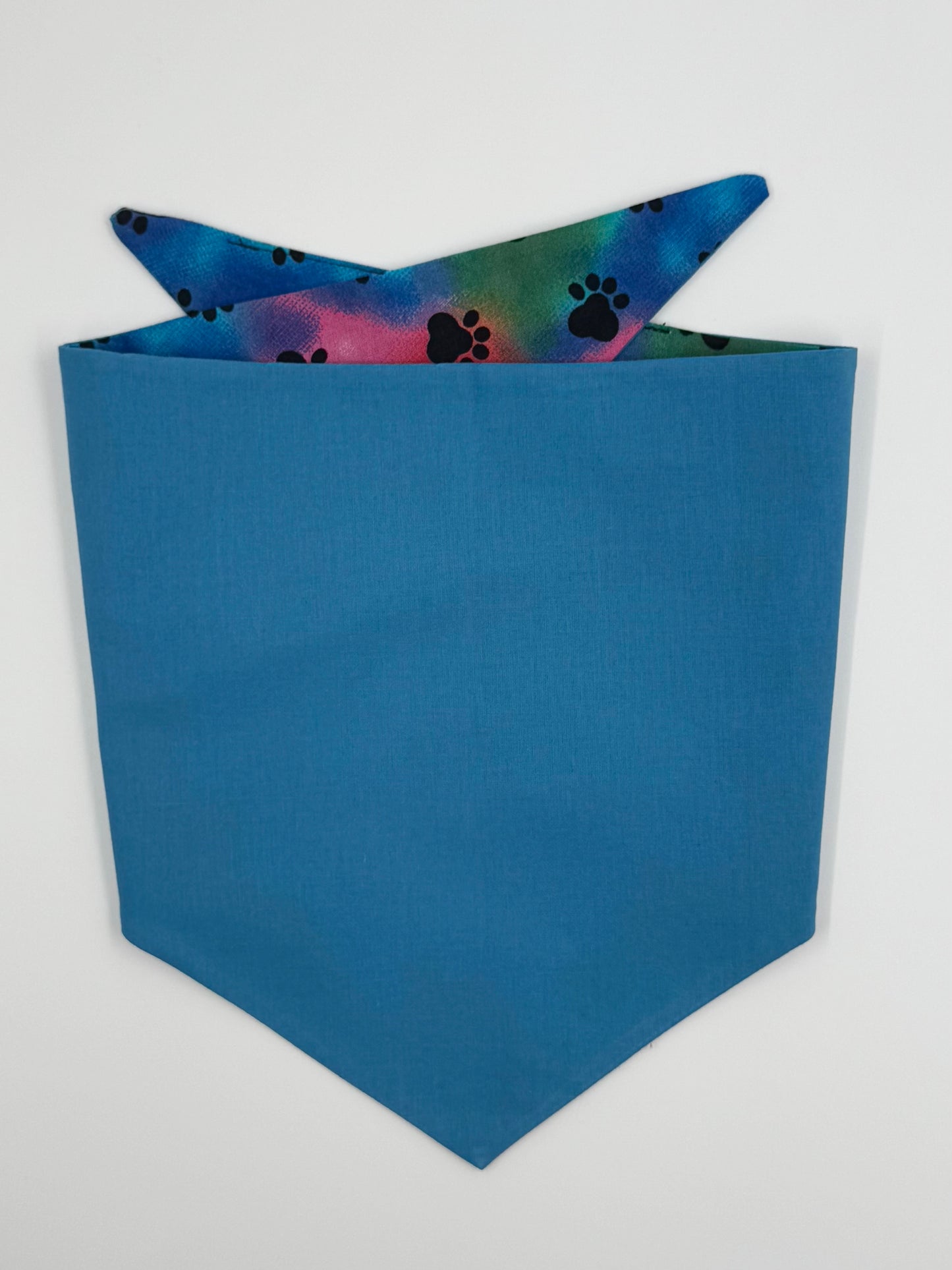 Electric Paws Reversible Dog Bandana