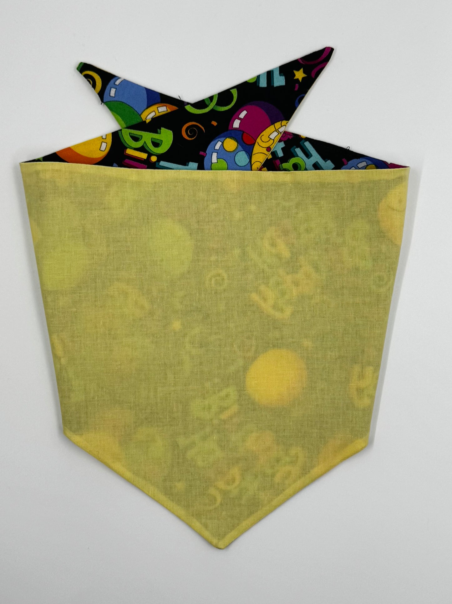 Pawty Time Reversible Dog Bandana