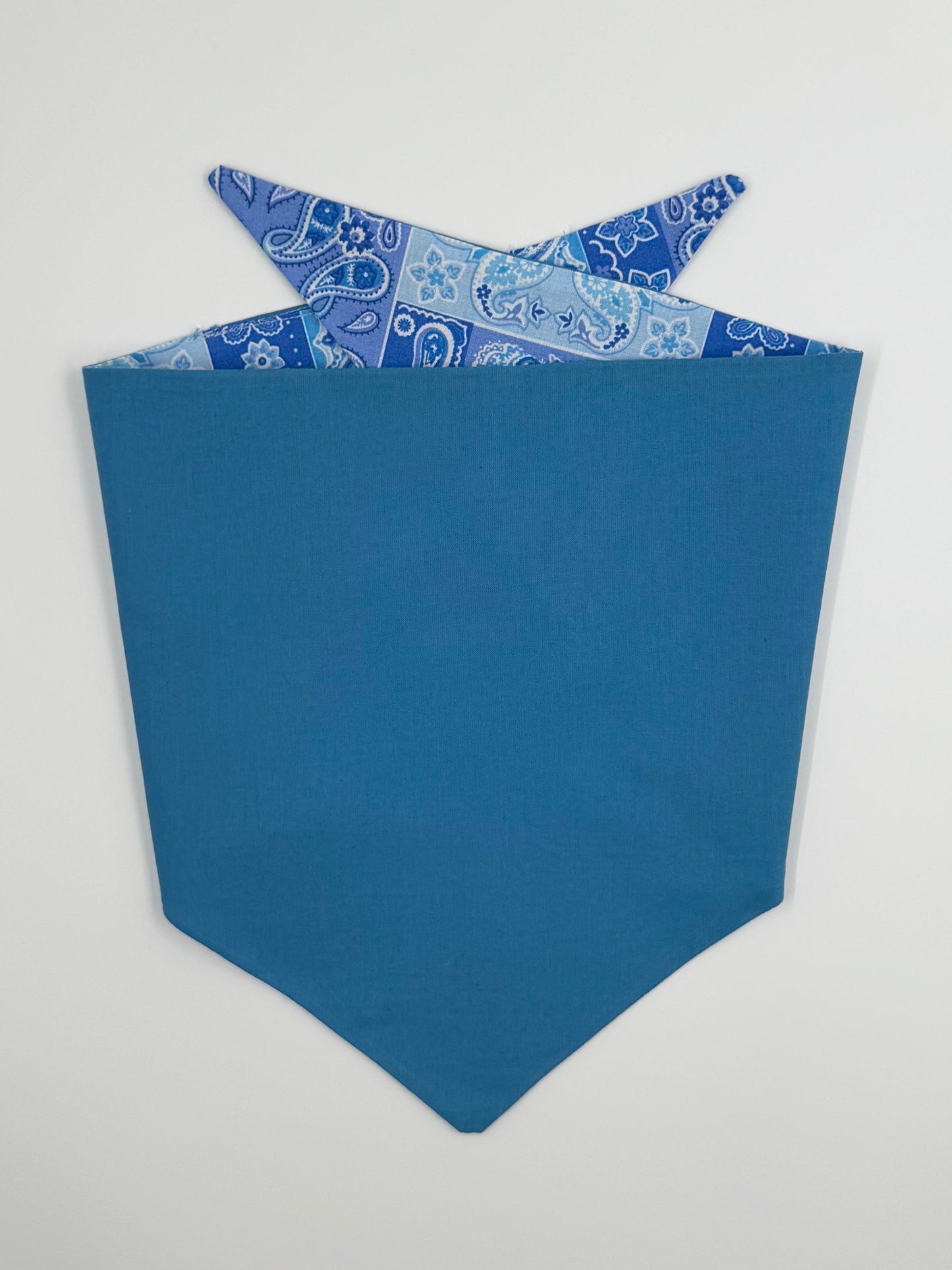 Paw-sley Blue Reversible Dog Bandana