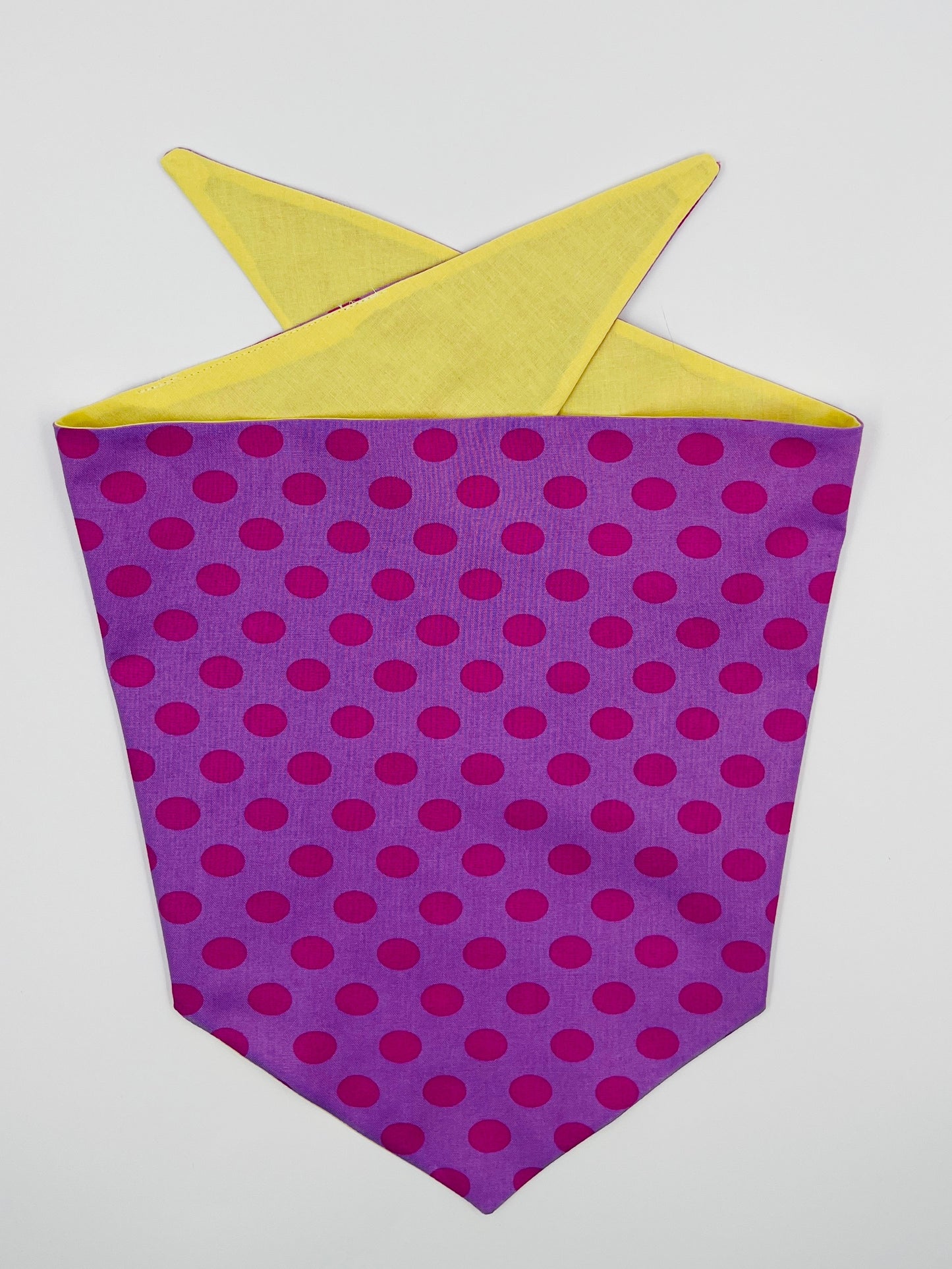 Purple Haze & Lemon Days: Reversible Vibrant Dog Bandana